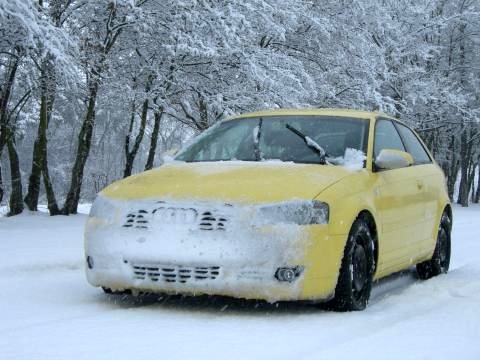 der Audi spielt im Schnee